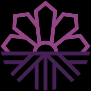 Montana Abortion Access Program logo