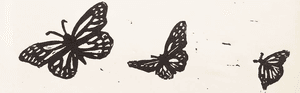 Mariposa Fund
